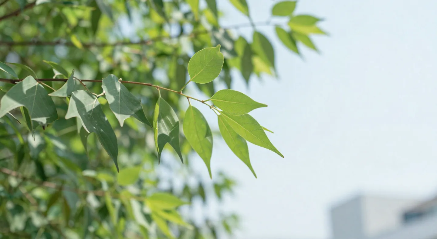 ケヤキの若葉と空。自主制作サンプル用に生成したイメージ